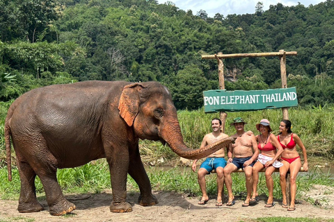 Chiang Mai: Santuario de Elefantes, Cascada y Excursión en RaftingServicio de recogida del hotel