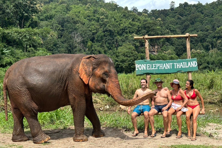 Chiang Mai: Elephant Sanctuary, Waterfall and Rafting Tour Hotel Pickup