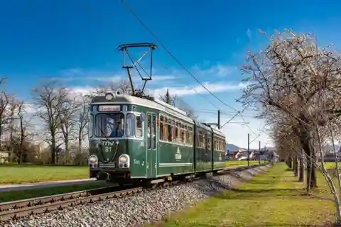 Mannheim: City tour with the historic streetcar
