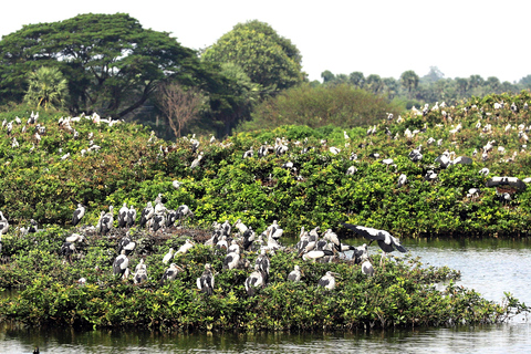 Okhla Bird Sanctuary,Akshardham Temple with Iskcon Temple 2D
