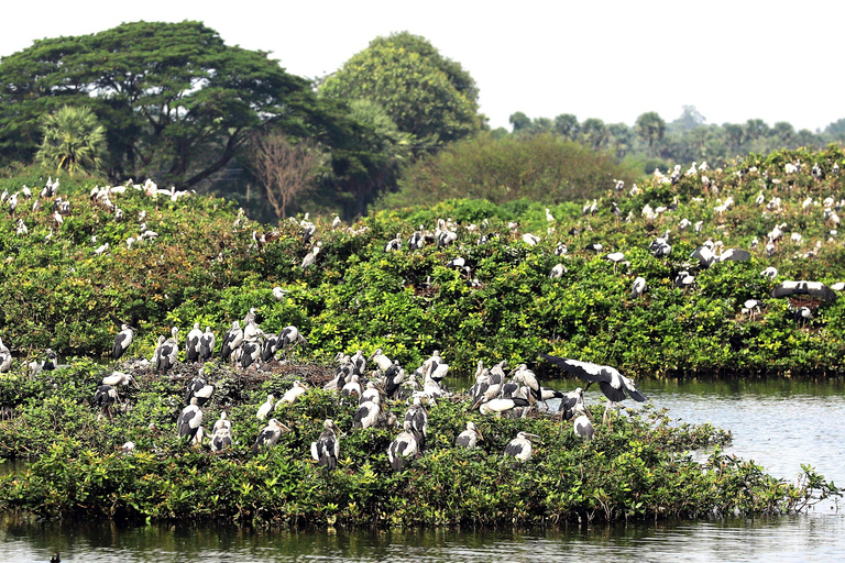 Okhla Bird Sanctuary,Akshardham Temple with Iskcon Temple 2D