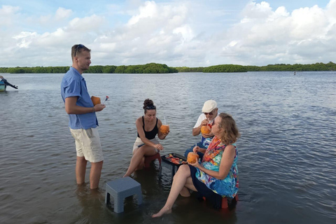 From Negombo: Boat Tour of Negombo Lagoon