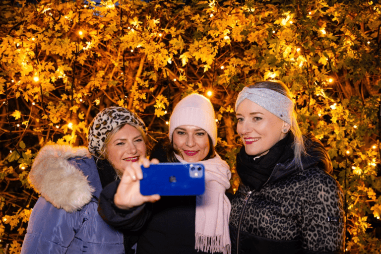 Dresda: Biglietto d'ingresso per il Giardino di Natale di DresdaDresda: biglietto d'ingresso al Giardino di Natale