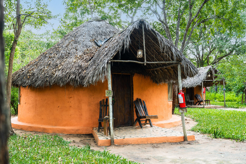 Da Zanzibar: Safari nel Selous G.R. con pernottamento e volosafari condiviso