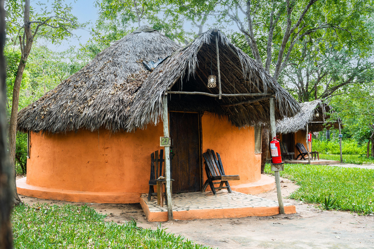 Depuis Zanzibar : Safari de nuit dans le Selous G.R. avec volssafari partagé