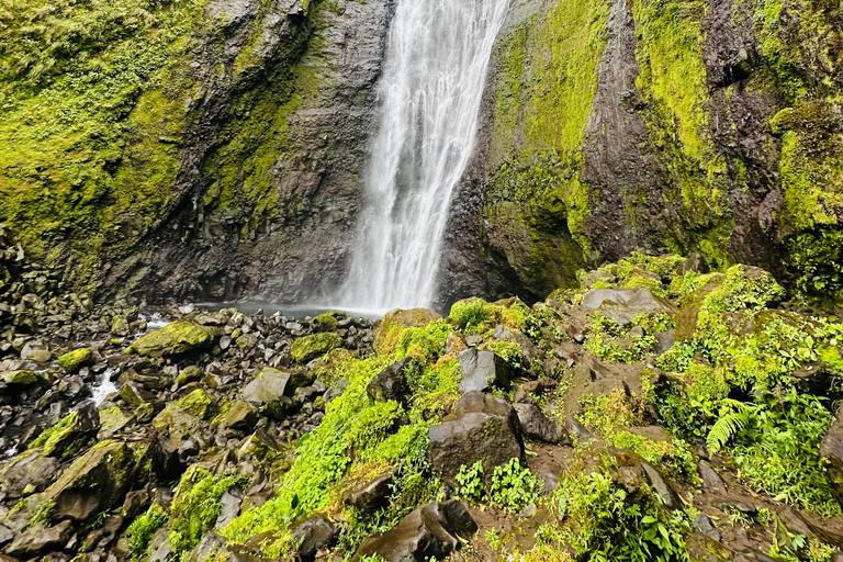 Tour de 1 día a Bajos del Toro, Alajuela, Costa Rica