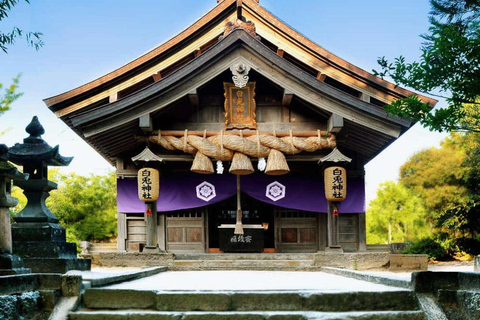 Tottori: Private Tour to Sand Dunes, Museum & Hakuto Coast