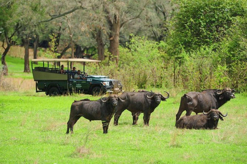 Excursion d&#039;une journée à Chobe