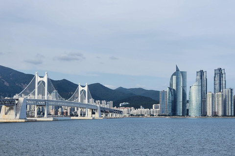 Busan Night view tour : Yacht, Hwangnyeongsan mountain Chinese speaking tour guide