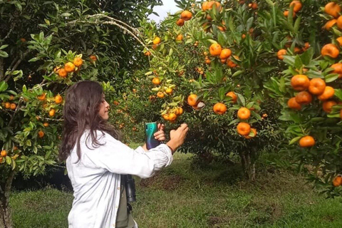 Galápagos : tortues géantes, tunnels de lave et cratèresGalápagos : visite guidée des tortues géantes, des tunnels de lave et des cratères