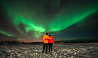 Levi, Aurora Borealis Bus & Snowstoe Tour con bebida caliente - Housity