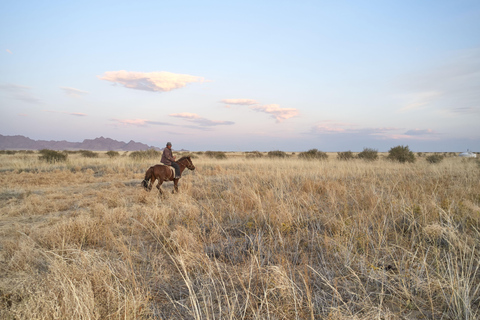 Christchurch: Relaxing Lagoon Horse Riding Experience