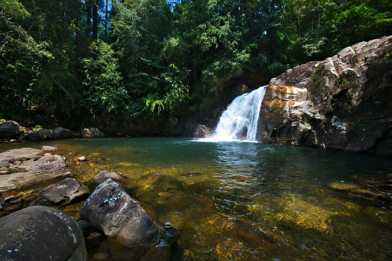 Sri Lanka: 5 Days Private Tour Package + 3* Hotels & Meals