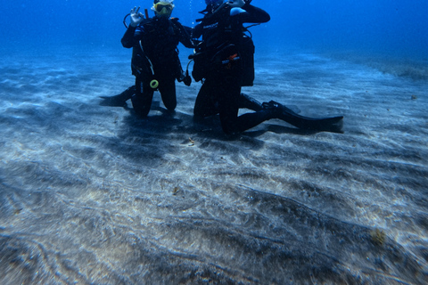 Tenerife: Experiência de mergulho para todos os níveis