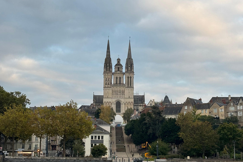 Bezoek aan Château d&#039;Angers en wijnproeverij