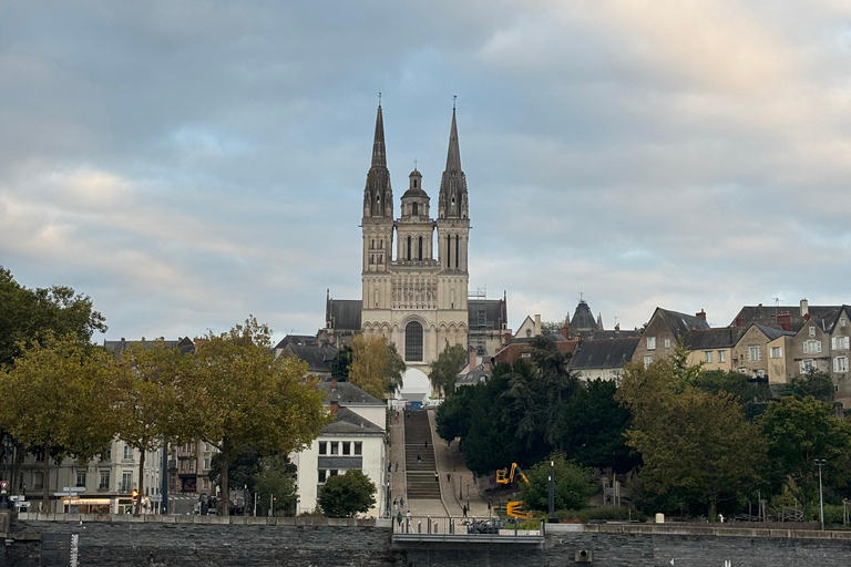 Bezoek aan Château d&#039;Angers en wijnproeverij