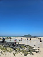 Jeju Island West SIC Tour mit Mittagessen inklusive - Hizvo