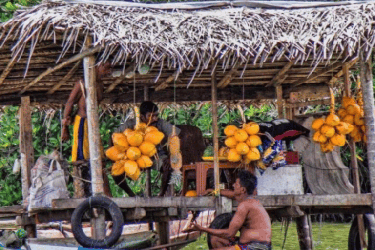 Colombo: Galle Fort, River Safari, and Coast Day Trip From Colombo, Negombo and kaluthara to Galle Fort