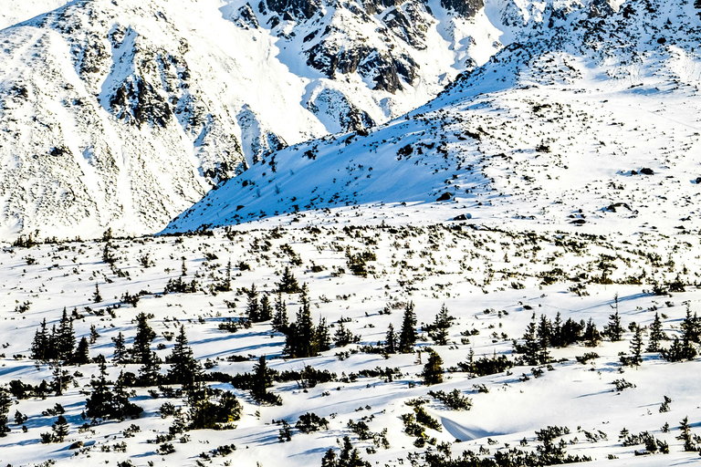 Zakopane: Ski or Snowboard Adventure with Lunch