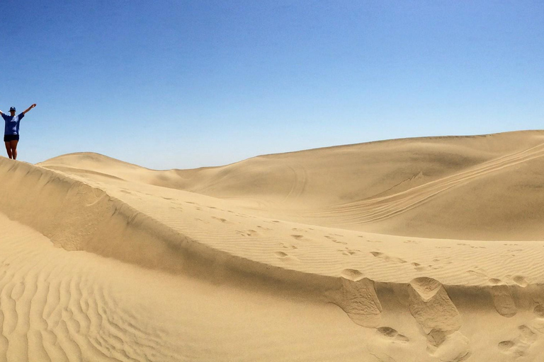 Tour d&#039;avventura a Paracas