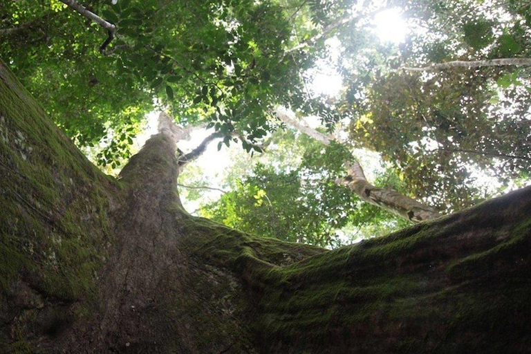 Sierra Leone: Wycieczka po wybrzeżu i kraju