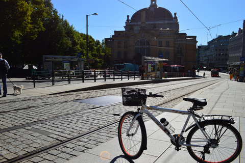 Tour panoramique d'Oslo en El-BikeEl Bike Panorama Tour