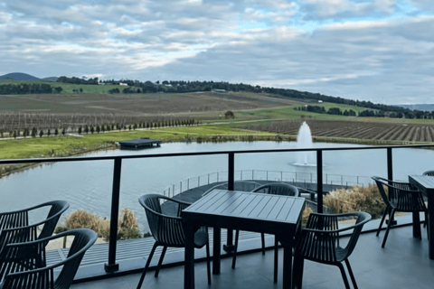 Puffing Billy Penguin Parade Winery Chocolaterie All-in-One Option 1: Yarra Valley+Puffing Billy+Phillip Island