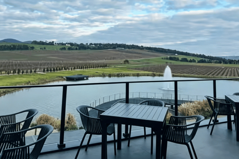 Puffing Billy Penguin Parade Winery Chocolaterie All-in-One Option 1: Yarra Valley+Puffing Billy+Phillip Island
