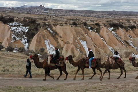 Cappadocia: Camel Ride with Hotel Pickup and Drop-Off Daytime Camel Ride with Hotel Pickup