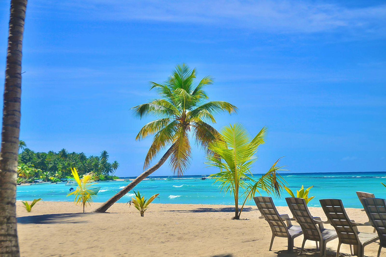 蓬塔卡纳：绍纳岛之旅 • 双体船和海滩午餐