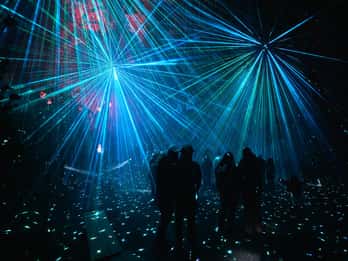 Astra Lumina Entry at Currumbin Wildlife Sanctuary
