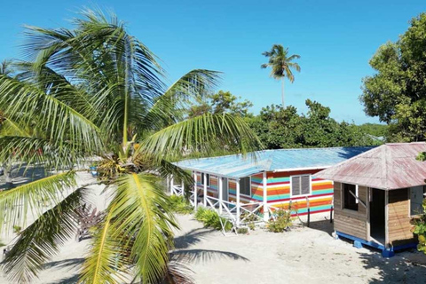 From Punta Cana: Saona Island Tour with BBQ Lunch