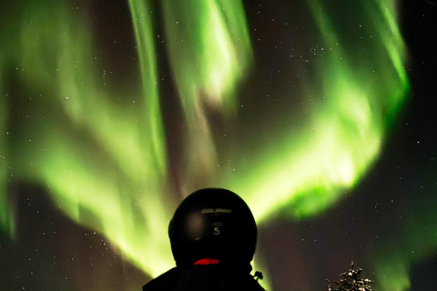 Levi: Aurora Hunting in Heated Sleigh Levi: Aurora Hunting, Sleigh ride