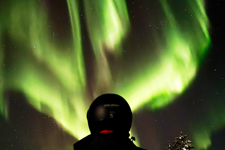 Levi: Aurora Hunting in Heated Sleigh Levi: Aurora Hunting, Sleigh ride