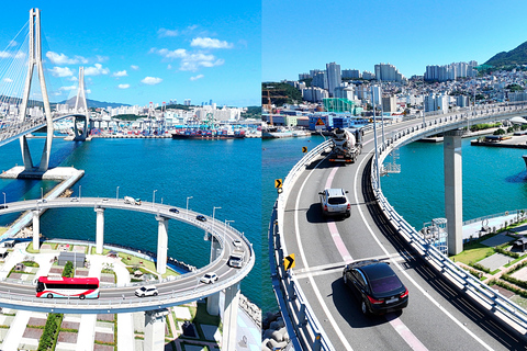 Busan: Busan 10 Highlights Tour Group Tour from Haeundae Ex 4