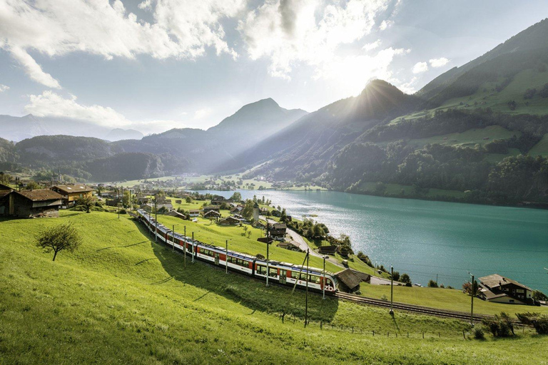 Zurich: Hardcore Swiss Train Tour–4 Scenic Railways in 1 day Excluding Train Tickets