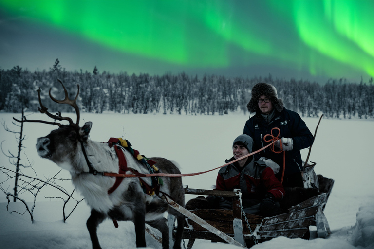Rovaniemi: 2km Aurora Reindeer Safari Through the Forest