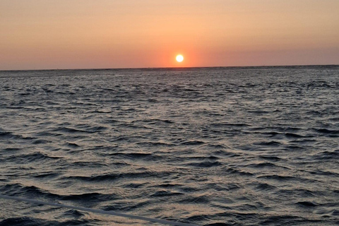 Porto,cruise with magical sunset ocean,open sail drink&snack Shared Magical Sunset Ocean