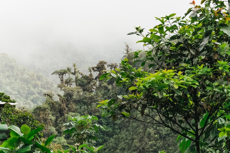 Quito: privé Mindo Cloud Forest-tour met kabelbaanrit