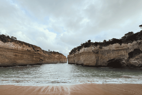 Z Melbourne: 12 Apostołów i wycieczka prywatna Great Ocean RoadWycieczka Deluxe (maks. 6 osób)