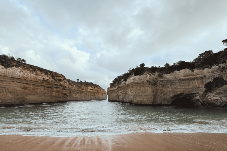 Z Melbourne: 12 Apostołów i wycieczka prywatna Great Ocean RoadWycieczka Deluxe (maks. 6 osób)