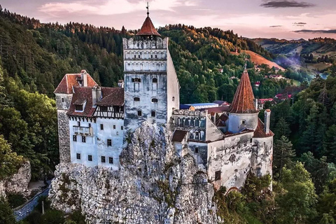 From Bucharest: Bear Sanctuary & Carpathian Castles Day Trip
