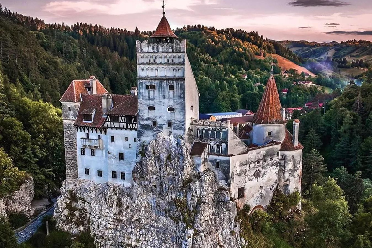 From Bucharest: Bear Sanctuary & Carpathian Castles Day Trip