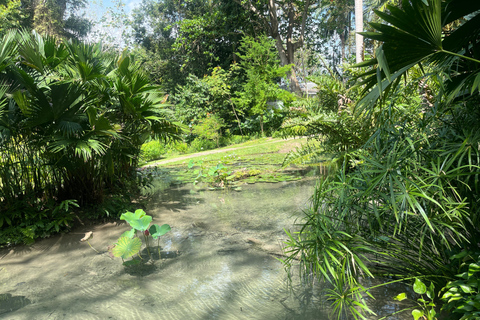 Cartagena: Adventure in Turbaco and botanical garden Cartagena: Turbaco Adventure and Botanical Garden