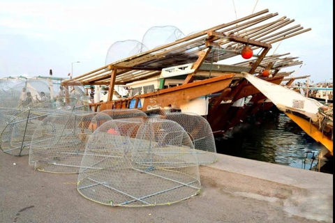 Qatar:Tour del Nord, Isola Viola, Forte di Zubara, Villaggio di Jumail