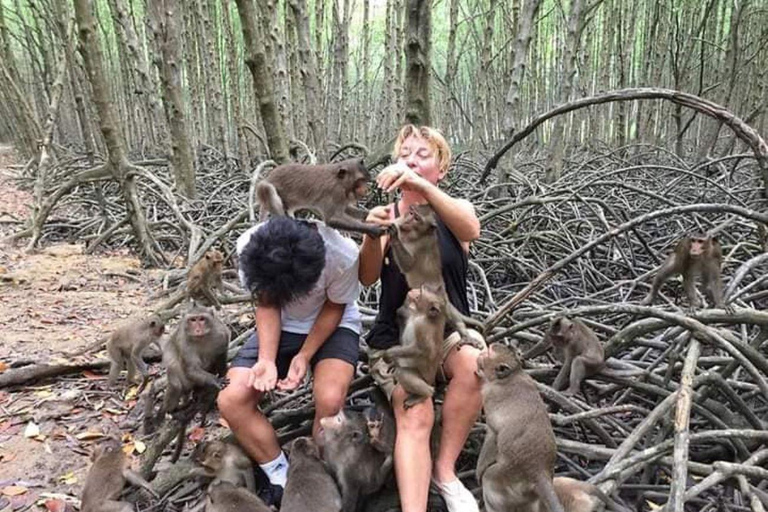 Visite d&#039;une jounée de la forêt de mangroves de Can Gio et de l&#039;île aux singes