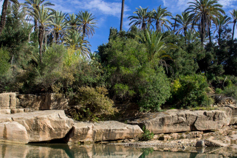 Agadir: Goat on Trees & Crocodile Park, w tym HotelPickup