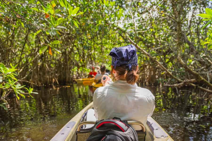 Siesta Key: Verborgener Strand & Mangroven-Kajak-Tour. Foto: GetYourGuide