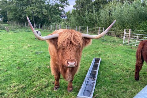 Loch Ness &amp; Highlands Adventure