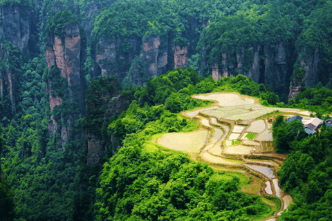 Parco Nazionale delle Foreste di Zhangjiajie: Ingresso con navetta